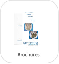 brochures